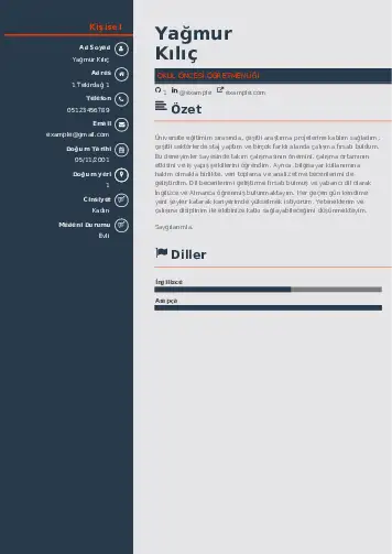 Okul Öncesi Öğretmeni Öğretmenliği Cv Örnekleri cv indir